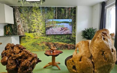 Rovio Rest in Forest